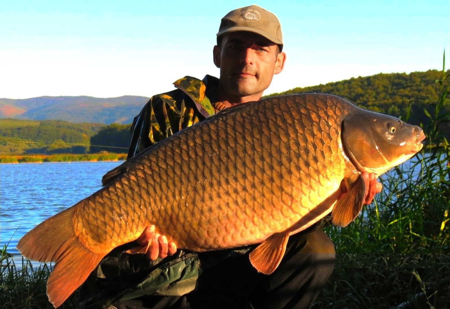 The best pictures of 2013 - 17,740